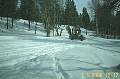 100_bucks_an_hour_to_plow.jpg