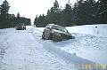 deep_in_the_snow.jpg