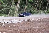 nov219car1.jpg