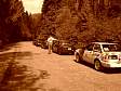 04C2C_WilliamMcRae_52.jpg