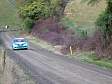NZrally04_024.jpg
